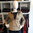 DELFINA - MOUSQUETON clothing - Saharian jacket